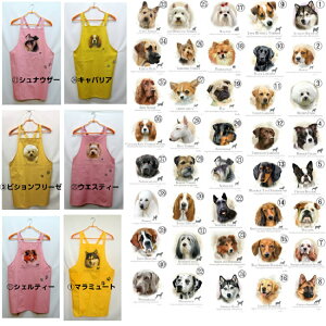 J[ GvyIׂ40z obNNX X^ |  킢 ۈm [NGv   hbO  Ck  I[i[ObY vg Mtg LOi G