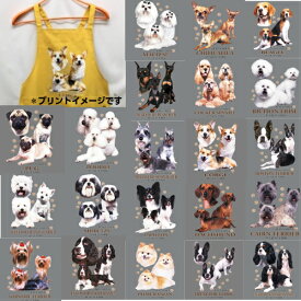 楽天市場 エプロン 犬用品 ペット ペットグッズ の通販