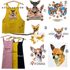 yIׂ`Cz ` Gv obNNX X^ |  킢 Vv ۈm [NGv   hbO  Ck  I[i[ObY vg Mtg 