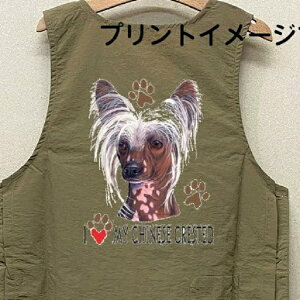 `Cj[YNbZbh `CNObY in[gj g~OGv iCbV[ e{^ H g}[ ۈm O| fB[X Y Vv 킢 