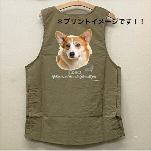 R[M[ R[M[ObY g~OGv iCbV[ e{^ H g}[ ۈm O| fB[X Y Vv 킢   hbO  Ck I[i
