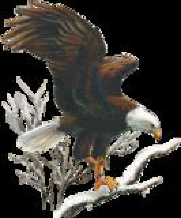 楽天市場 鳥 イーグル Eagle 鷲 白頭鷲 １１ D 猛禽類 トートバッグ エコバッグ マイバッグ Lサイズ 大 かわいい おしゃれ レディース メンズ 男女兼用 大きめ キャンバス 動物 アニマル ペット オーナーグッズ 敬老の日 犬と動物 トラストワンポイント