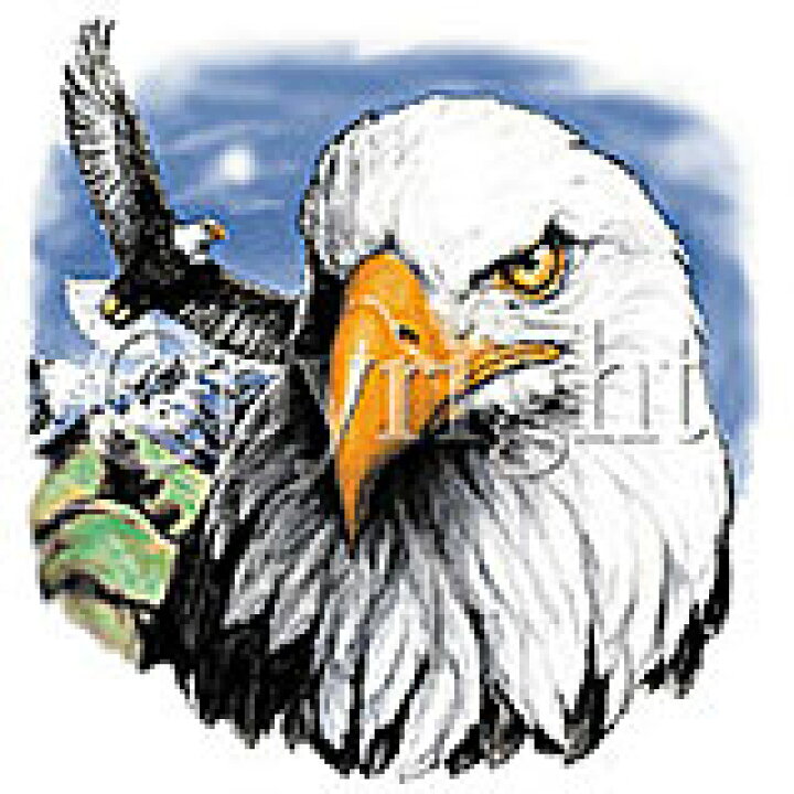 楽天市場 鳥 イーグル Eagle 白頭鷲 鷲 １７ D 猛禽類 トートバッグ エコバッグ マイバッグ Lサイズ 大 かわいい おしゃれ レディース メンズ 男女兼用 大きめ キャンバス 動物 アニマル ペット オーナーグッズ 敬老の日 犬と動物 トラストワンポイント
