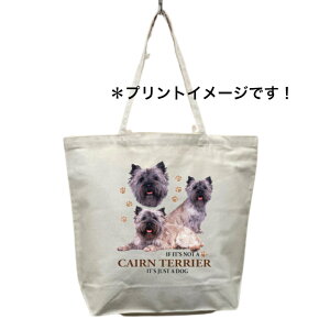 PA[eA PAeA (W2) g[gobO GRobO }CobOyLTCY/z킢  fB[X Y jp a4 傫 LoX hbO    v