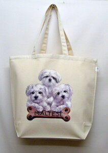 }`[Y g[gobO GRobO }CobOyLTCY/z킢  fB[X Y jp a4 傫 LoX hbO    vg ObY