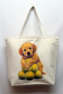 S[fg[o[ ps[ g[gobO GRobO }CobOyLTCY/z킢  fB[X Y jp a4 傫 LoX hbO    vg 