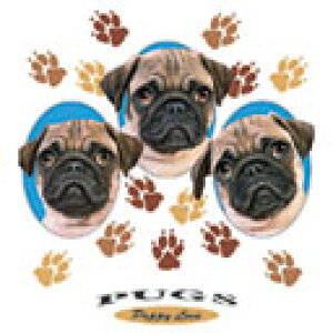 pO g[gobO GRobO }CobOyLTCY/z킢  fB[X Y jp a4 傫 LoX hbO    vg ObY