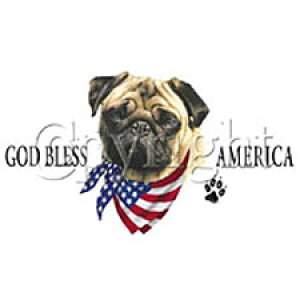 pO g[gobO GRobO }CobOyLTCY/z킢  fB[X Y jp a4 傫 LoX hbO    vg ObY