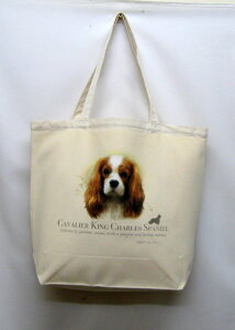 LoA g[gobO GRobO }CobOyLTCY/z킢  fB[X Y jp a4 傫 LoX hbO    vg ObY