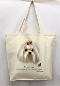 }`[Y (NEW) g[gobO GRobO }CobOyLTCY/z킢  fB[X Y jp a4 傫 LoX hbO    vg ObY