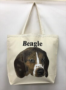 r[O (R-02) g[gobO GRobO }CobOyLTCY/z킢  fB[X Y jp a4 傫 LoX hbO    vg ObY