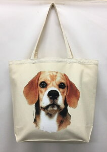 r[O (R-03) g[gobO GRobO }CobOyLTCY/z킢  fB[X Y jp a4 傫 LoX hbO    vg ObY Be[