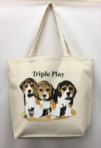 r[O (R-05) ps[ g[gobO GRobO }CobOyLTCY/z킢  fB[X Y jp a4 傫 LoX hbO    vg ObY