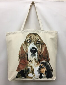 oZbgnEh (R-01) g[gobO GRobO }CobOyLTCY/z킢  fB[X Y jp a4 傫 LoX hbO    vg ObY