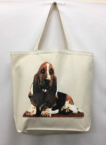 oZbgnEh g[gobO GRobO }CobOyLTCY/z킢  fB[X Y jp a4 傫 LoX hbO    vg ObY