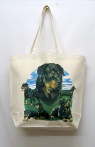 bgC[ (W1) g[gobO GRobO }CobOyLTCY/z킢  fB[X Y jp a4 傫 LoX hbO    vg ObY