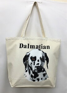 _VA (R-03) g[gobO GRobO }CobOyLTCY/z킢  fB[X Y jp a4 傫 LoX hbO    vg ObY