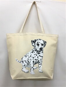 _VA (R-04) g[gobO GRobO }CobOyLTCY/z킢  fB[X Y jp a4 傫 LoX hbO    vg ObY