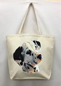 _VA (R-06) g[gobO GRobO }CobOyLTCY/z킢  fB[X Y jp a4 傫 LoX hbO    vg ObY