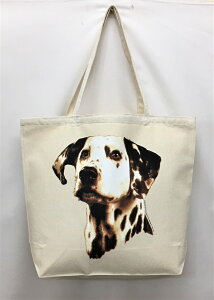 _VA (R-08) g[gobO GRobO }CobOyLTCY/z킢  fB[X Y jp a4 傫 LoX hbO    vg ObY