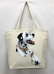 _VA (R-10) g[gobO GRobO }CobOyLTCY/z킢  fB[X Y jp a4 傫 LoX hbO    vg ObY