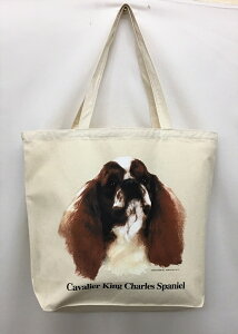 LoA (R-03) g[gobO GRobO }CobOyLTCY/z킢  fB[X Y jp a4 傫 LoX hbO    vg ObY