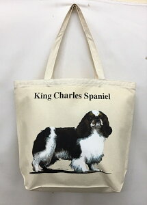 LO`[Y XpjG[ (R-04) g[gobO GRobO }CobOyLTCY/z킢  fB[X Y jp a4 傫 LoX hbO    v