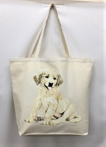 S[fg[o[ S[f (R-42) g[gobO GRobO }CobOyLTCY/z킢  fB[X Y jp a4 傫 LoX hbO    v