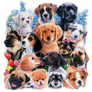 WhbOEps[ iW15jhbO pO S[f u {NT[ I[V[ [NV[ r[O W[} uhbO Vi | |C^[ }`[Y [fVA g[gob