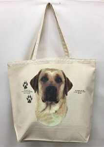 uh[g[o[ CG[u CG[ qXg[ g[gobO GRobO }CobOyLTCY/z킢  fB[X Y jp a4 傫 LoX hb