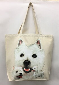 EGXgnChzCgeA EGXeB[ (R-6) g[gobO GRobO }CobOyLTCY/z킢  fB[X Y jp a4 傫 LoX hbO  