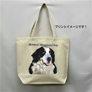 o[j[Y}Eeo[j[Y (R) g[gobO GRobO }CobOyLTCY/z킢  fB[X Y jp a4 傫 LoX hbO    v