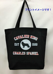 LoA (VGbg) g[gobO GRobO }CobOyLTCY/z킢  fB[X Y jp a4 傫 LoX hbO    vg ObY