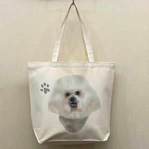 rVt[[ qXg[ g[gobO GRobO }CobOyLTCY/z킢  fB[X Y jp a4 傫 LoX hbO    vg O