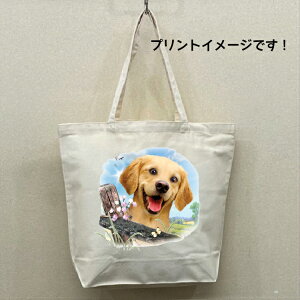 S[fgo[ S[fg[o[ g[gobO GRobO }CobOyLTCY/z킢  fB[X Y jp a4 傫 LoX hbO   