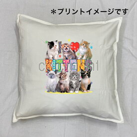 【送料無料】キャット cat クッション NEW【中身あり/ホワイト/ブラック】 50x50cm 大きめ ビッグサイズ 洗える かわいい おしゃれ 猫柄 ねこ 猫プリント 雑貨 猫グッズ 動物 オーナーグッズ ギフト