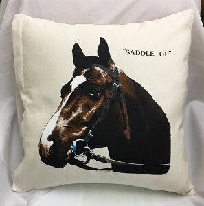 E}i100jn z[XNbVJo[yJo[̂ gʔz 43×43cm 킢  Vv G  LOi It I[i[ObY