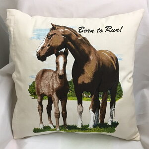 ݌ɌIE} i113jn z[XNbVJo[yJo[̂ gʔz 43×43cm 킢  Vv G  LOi It I[i[ObY