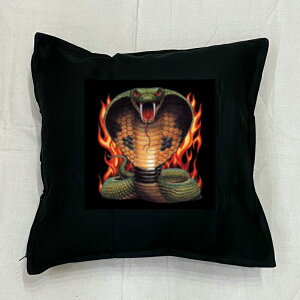 yzwr  Xl[N NbV NEWyg/zCg/ubNz 50x50cm 傫 rbOTCY rbOtFCX 􂦂 킢  ঒ vg G ঒ރObY@