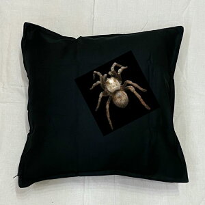 yz^` NbV NEWyg/zCg/ubNz 50x50cm 傫 rbOTCY rbOtFCX 􂦂 킢   vg G ঒ރObY@쐶 