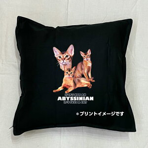 yzLbg cat ArVjA NbV NEWyg/zCg/ubNz 50x50cm 傫 rbOTCY 􂦂 킢  yV L lR ˂ Lvg G LO