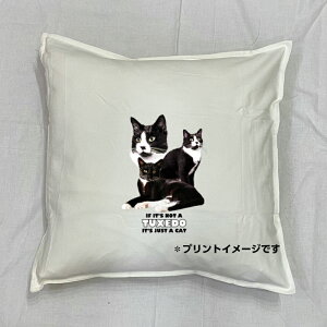 �y���������z�L���b�g cat �^�L�V�[�h�L���b�g �N�b�V���� NEW�y���g����/�z���C�g/�u���b�N�z 50x50cm �傫�� �r�b�O�T�C�Y �􂦂� ���킢�� ������� �y���V�� �L�� �l�R �˂� �L�v�����g �G��