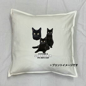 楽天市場 ペルシャ猫 ホワイトの通販