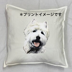 �y���������z�E�G�X�e�B�[ �E�G�X�g�n�C�����h�z���C�g�e���A �N�b�V���� �y���g����/�z���C�g/�u���b�N�z 50x50cm �傫�� �r�b�O�T�C�Y �􂦂� ���킢�� ������� ���� ���� dog �h�b�O ���v