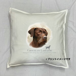 yzuh[go[ g[o[ `R[gu NbV NEWyg/zCgz 50x50cm 傫 rbOTCY rbOtFCX 􂦂 킢  dog  