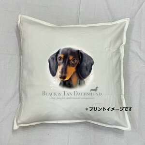 �y���������z�_�b�N�X�t���h �_�b�N�X�t���g �u���b�N�^�� �X���[�X �N�b�V���� NEW�y���g����/�z���C�g�z 50x50cm �傫�� �r�b�O�T�C�Y �r�b�O�t�F�C�X �􂦂� ���킢�� ������� dog ���� ��