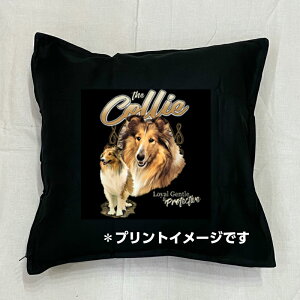 �y���������z�R���[ �N�b�V���� �y���g����/�z���C�g/�u���b�N�z 50x50cm �傫�� �r�b�O�T�C�Y �􂦂� ���킢�� ������� ���� ���� dog �h�b�O ���v�����g �G�� ���O�b�Y ���v�����g ���� �I�[