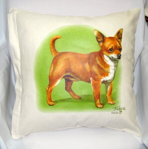 �y���������z�݌Ɍ���I�`�����iA-572�j �N�b�V�����y���g����z 45x45cm �􂦂� ���킢�� ������� ���� ���� ���v�����g �G�� ���O�b�Y ���v�����g ���� �L�O�i �I�t�� �I�[�i�[�O�b�Y