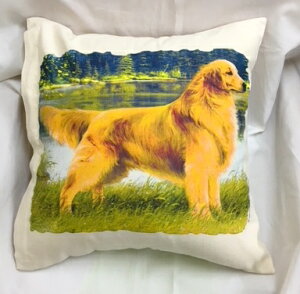 �y���������z�݌Ɍ���I�S�[���f�����g���o�[�iRev�E1�j �N�b�V�����y���g����z 45x45cm �􂦂� ���킢�� ������� ���� ���� ���v�����g �G�� ���O�b�Y ���v�����g ���� �L�O�i �I�t�� �I�[