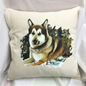 ݌ɌIVxAnXL[iNo.2j NbVJo[yJo[̂ gʔz 43x43cm 킢  Vv   Ck vg  G ObY vg  L